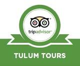 Tripadvisor Tulum Tours