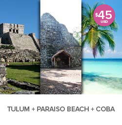 Tulum, Coba, Playa Paraiso Tour