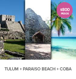 Tulum, Coba, Playa Paraiso Tour