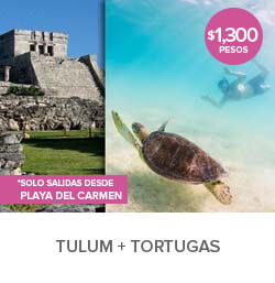 Tulum Tortugas Tour