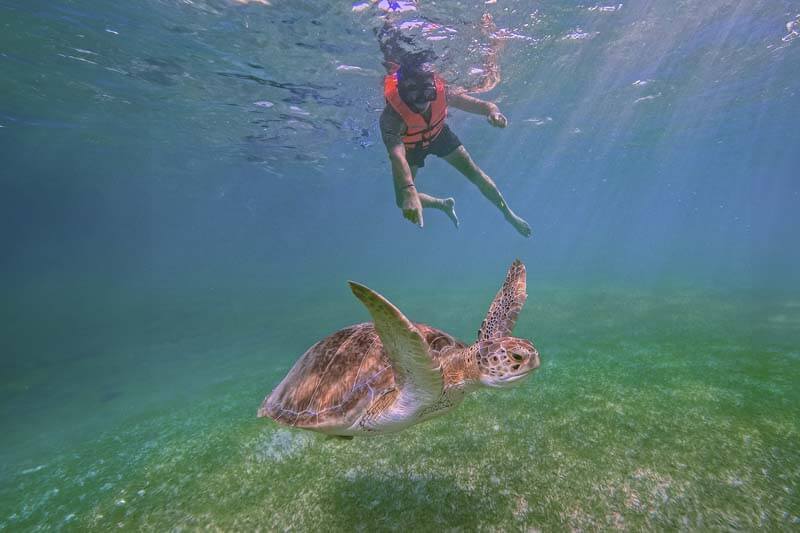 Tulum Tortugas Cenote
